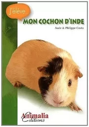 Mon cochon d'Inde