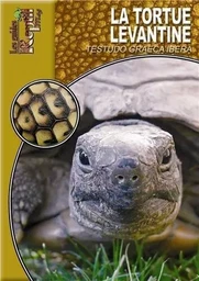 La tortue levantine - testudo graeca ibera