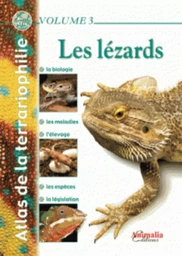 Les lézards