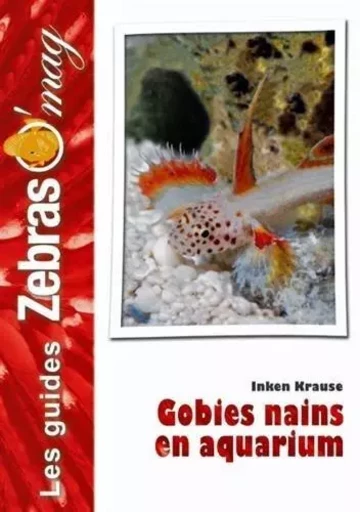 Gobies nains en aquarium -  - ANIMALIA