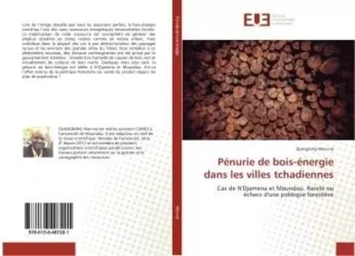 Penurie de bois-energie dans les villes tchadiennes - Djangrang Man-na - UNIV EUROPEENNE