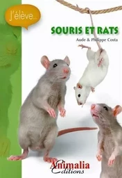 Souris et rats