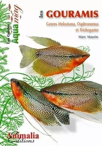 Les gouramis - genres helostoma, osphronemus et trichogaster -  - ANIMALIA