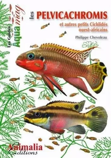 Les pelvicachromis et autres petits cichlidés ouest-africains - pelvicachromis, anomalochromis, chromidotilapia, congochromis, enigmatochromis & nanochromis -  - ANIMALIA