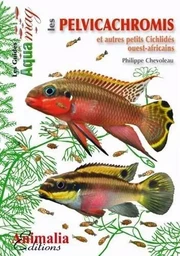 Les pelvicachromis et autres petits cichlidés ouest-africains - pelvicachromis, anomalochromis, chromidotilapia, congochromis, enigmatochromis & nanochromis