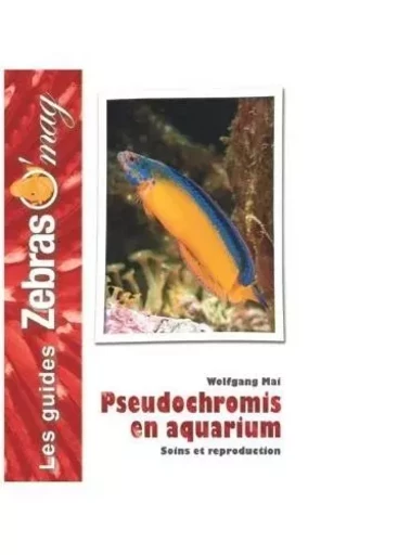 Pseudochromis en aquarium - soins et reproduction -  - ANIMALIA