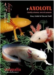 L'axolotl - ambystoma mexicanum