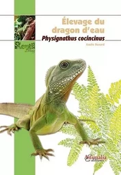 Élevage du dragon d'eau - physignathus cocincinus