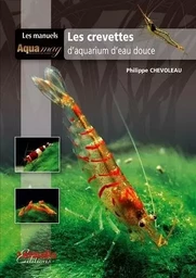 Les crevettes d'aquarium d'eau douce