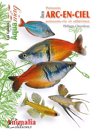 Les poissons arc-en-ciel - poissons-riz et athérines -  - ANIMALIA