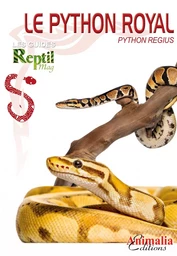 Le python royal - Python regius