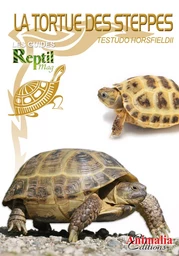 La Tortue Des Steppes