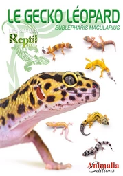 Le gecko léopard - Eublepharis macularius