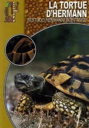 La tortue d'Hermann orientale - Testudo Hermanni Boettgeri