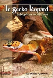 Le gecko léopard - eublepharis macularius