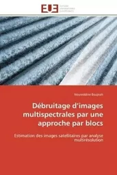 Débruitage d'images multispectrales par une approche par blocs