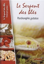 Le serpent des blés - Pantherophis guttatus