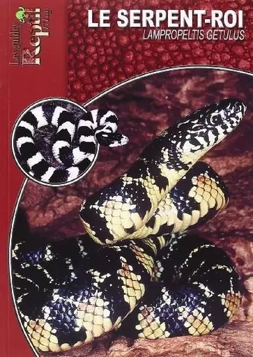 Le serpent-roi - Lampropeltis getula -  - ANIMALIA