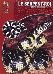 Le serpent-roi - Lampropeltis getula