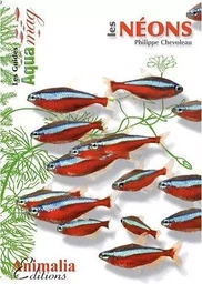 Les néons - Hemigrammus erythrozonus, Hyphessobrycon herbertaxelrodi, Paracheirodon spp