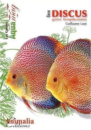 Les discus, genre Symphysodon -  - ANIMALIA