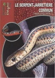 Le serpent-jarretière commun - Thamnophis sirtalis