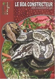 Le boa constricteur - Boa constrictor