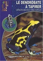 Le dendrobate à tapirer - Dendrobates tinctorius