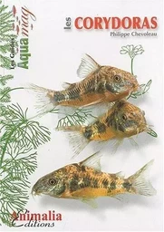 Les corydoras - Corydoras aeneus, paleatus & cie