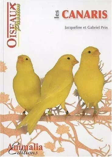 Les canaris -  - ANIMALIA