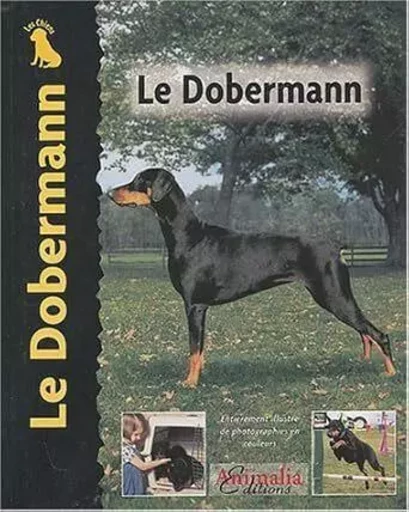 Le Dobermann - Lou-Ann Cloidt - ANIMALIA