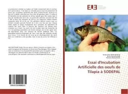 Essai d'Incubation Artificielle des oeufs de Tilapia A SODePAL