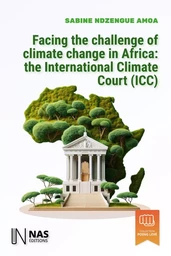 Facing the challenge of climate change in Africa: The International Climate Court (ICC)