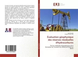 Évaluation géophysique des réserves résiduelles d'hydrocarbures