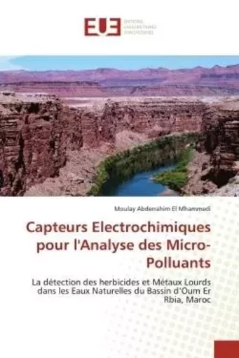 Capteurs Electrochimiques pour l'Analyse des Micro-Polluants - Moulay Abderrahim El Mhammedi - UNIV EUROPEENNE