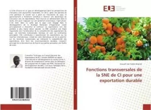 Fonctions transversales de la SNe de CI pour une exportation durable - Gouaré Ameme - UNIV EUROPEENNE