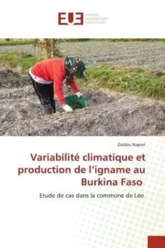 Variabilité climatique et production de l'igname au Burkina Faso - Zaïdou Napon - UNIV EUROPEENNE