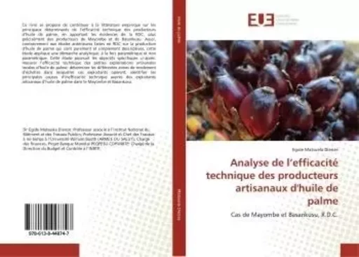 Analyse de l'efficacité technique des producteurs artisanaux d'huile de palme - Egide Dienze - UNIV EUROPEENNE