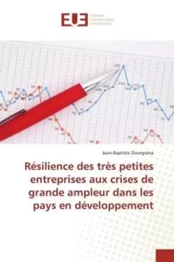 Résilience des très petites entreprises aux crises de grande ampleur dans les pays en développement - Jean-Baptiste Zoungrana - UNIV EUROPEENNE