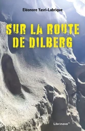 Sur la route de Dilberg