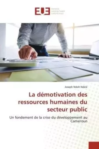 La démotivation des ressources humaines du secteur public - Joseph Ndoh Ndzié - UNIV EUROPEENNE