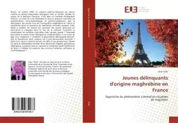 Jeunes délinquants d'origine maghrébine en France