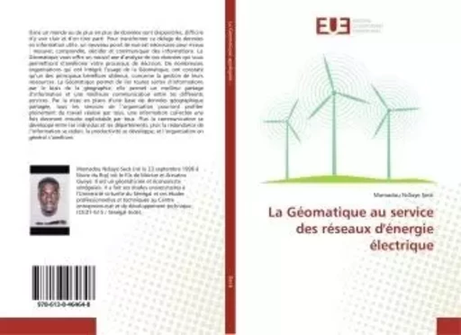 La Géomatique au service des réseaux d'énergie électrique - Mamadou Seck - UNIV EUROPEENNE