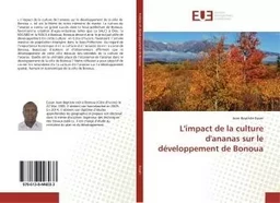 L'impact de la culture d'ananas sur le développement de Bonoua