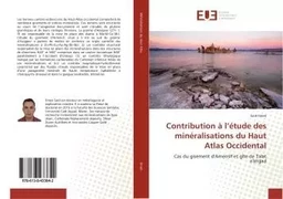 Contribution a l'etude des mineralisations du Haut Atlas Occidental