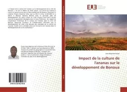 Impact de la culture de l'ananas sur le développement de Bonoua