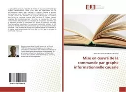 Mise en oeuvre de la commande par graphe informationnelle causale