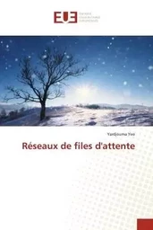 Réseaux de files d'attente