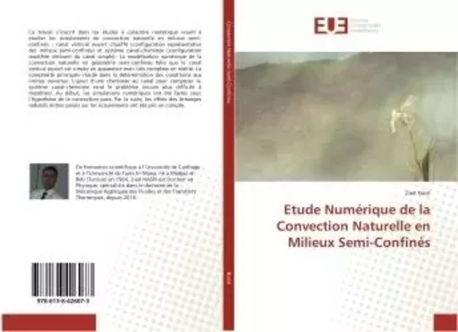 Etude Numérique de la Convection Naturelle en Milieux Semi-Confinés - Zied Nasri - UNIV EUROPEENNE