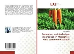 evaluation sociotechnique de production Maraîchere de la commune Kabondo